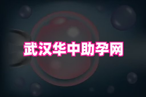 厦门助孕网站 3